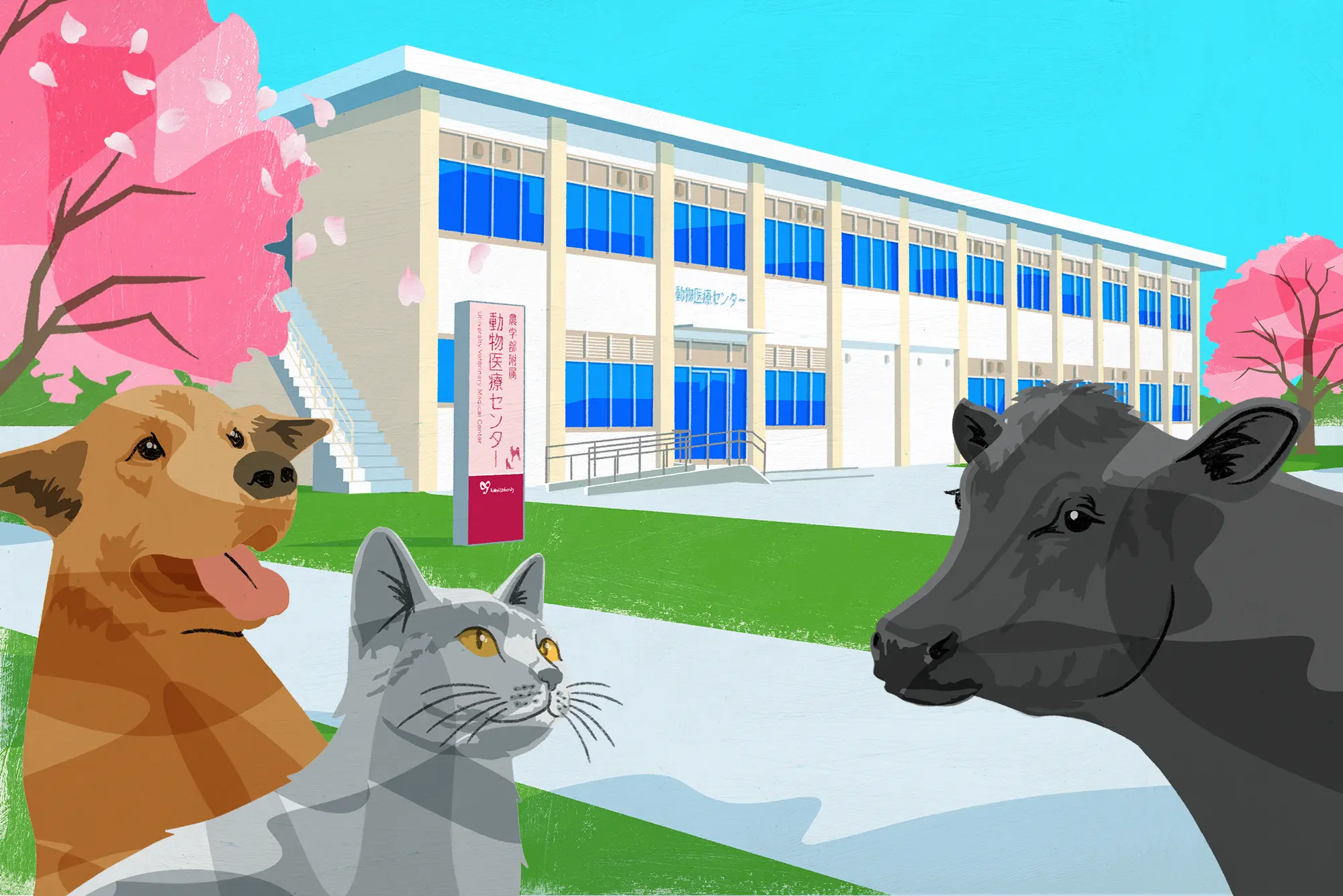 動物医療センターと犬猫牛